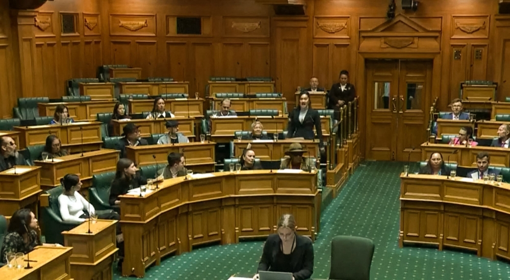 This frame grab taken from a New Zealand Parliament TV feed dated November 14, 2024 shows Maori lawmaker Hana-Rawhiti Maipi-Clarke (C) standing up during a first reading of the Principles of the Treaty of Waitangi Bill and performing a Haka dance. (Photo by New Zealand Parliament / AFPTV / AFP)