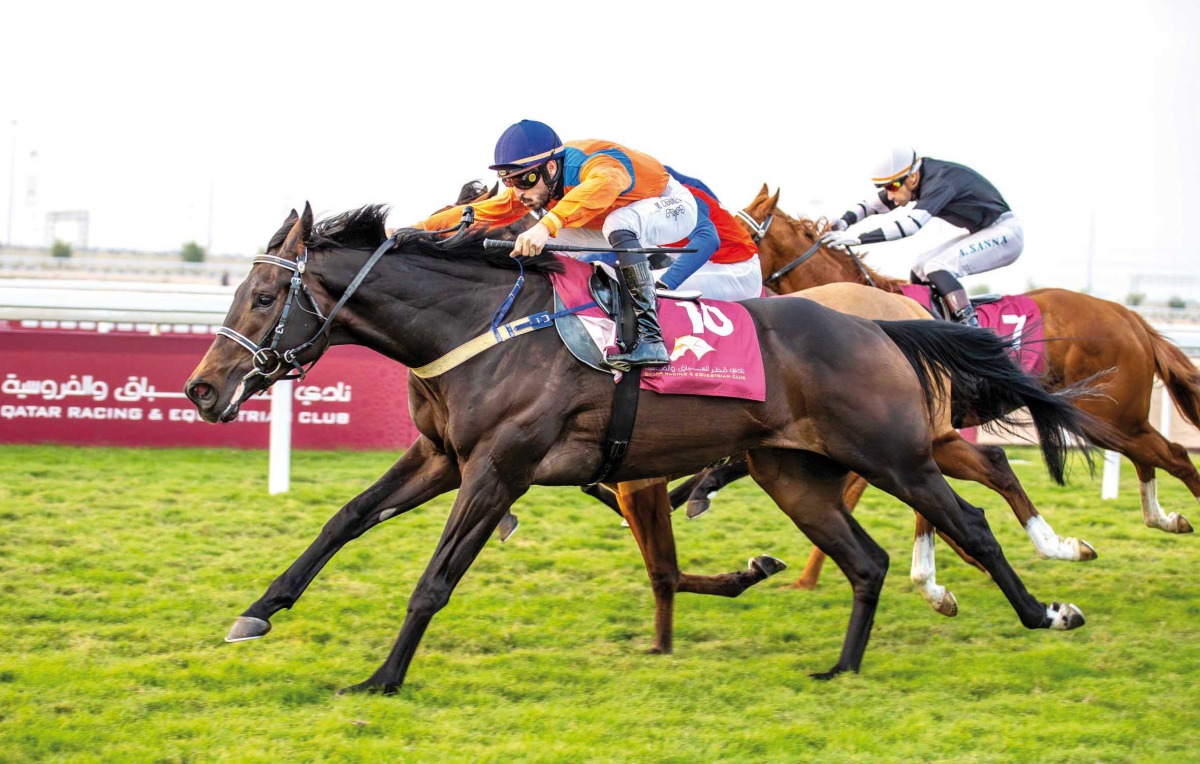 Marco Casamento and Valiant Knight on their way to win the Al Uqda Cup. PIC: Juhaim/QREC